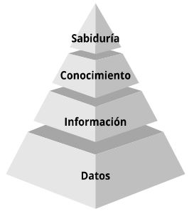 Figura 1